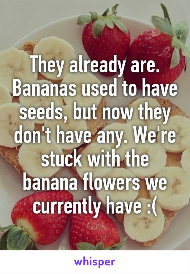 They already are. Bananas used to have seeds, but now they don't have any. We're stuck with the banana flowers we currently have :(