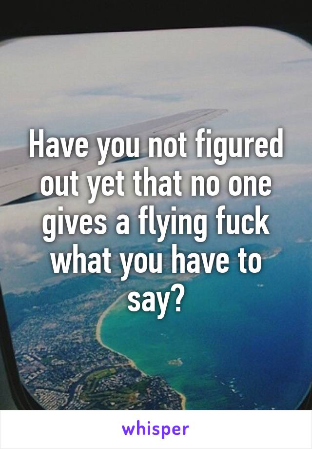 Have you not figured out yet that no one gives a flying fuck what you have to say?