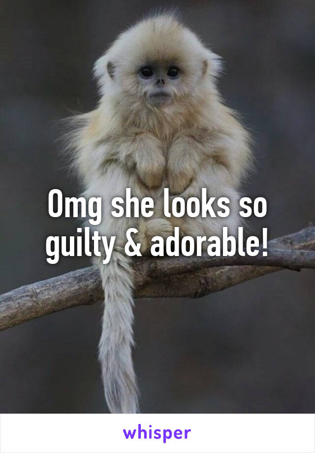 Omg she looks so guilty & adorable!