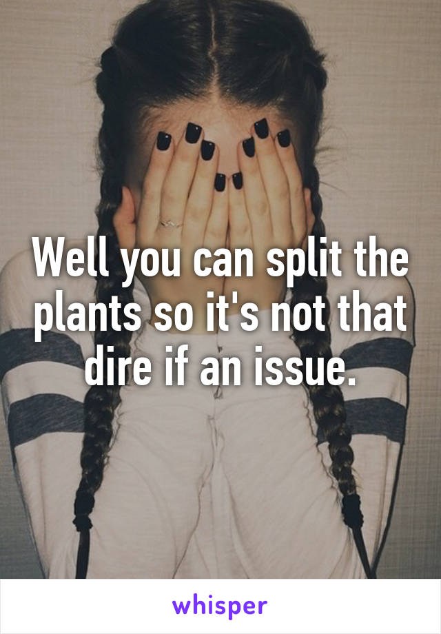 Well you can split the plants so it's not that dire if an issue.