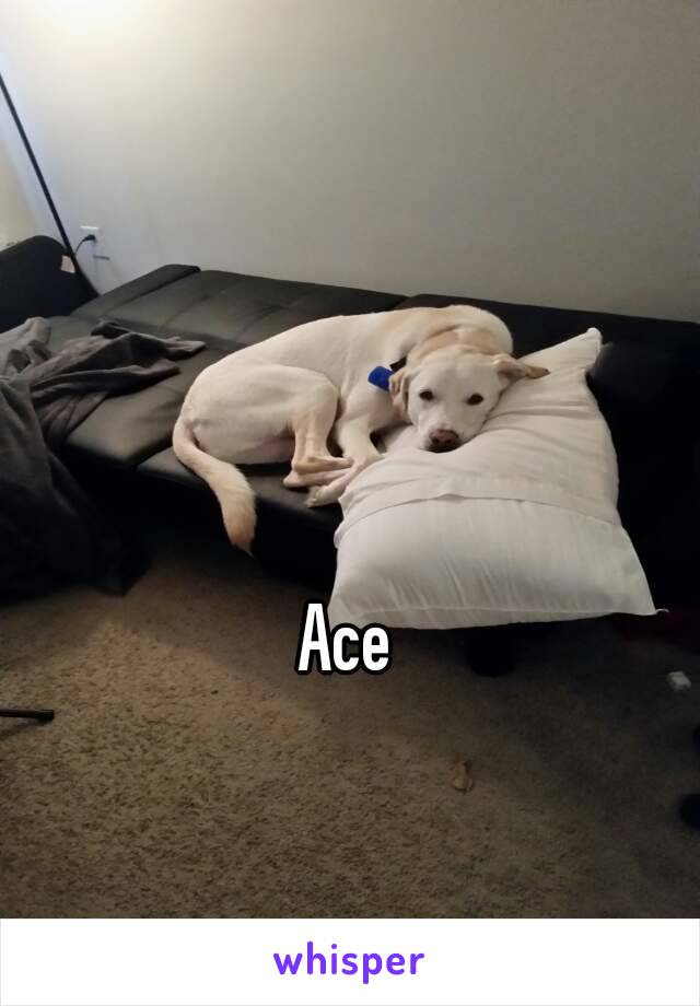 Ace