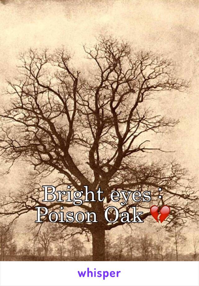 Bright eyes : Poison Oak 💔