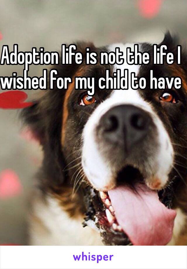 Adoption life is not the life I wished for my child to have 