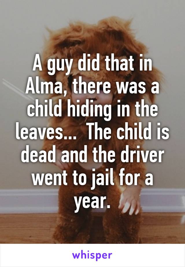 A guy did that in Alma, there was a child hiding in the leaves...  The child is dead and the driver went to jail for a year.