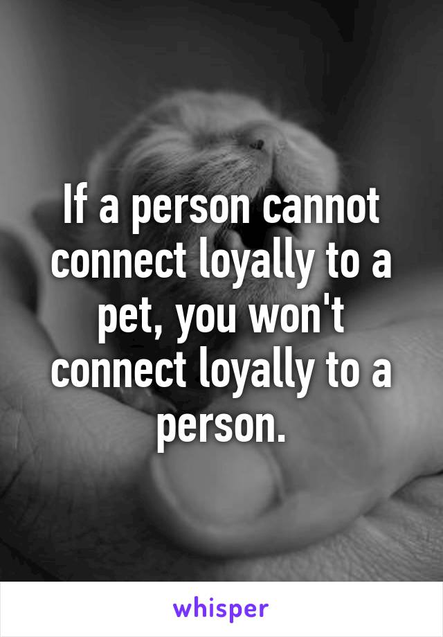 If a person cannot connect loyally to a pet, you won't connect loyally to a person.