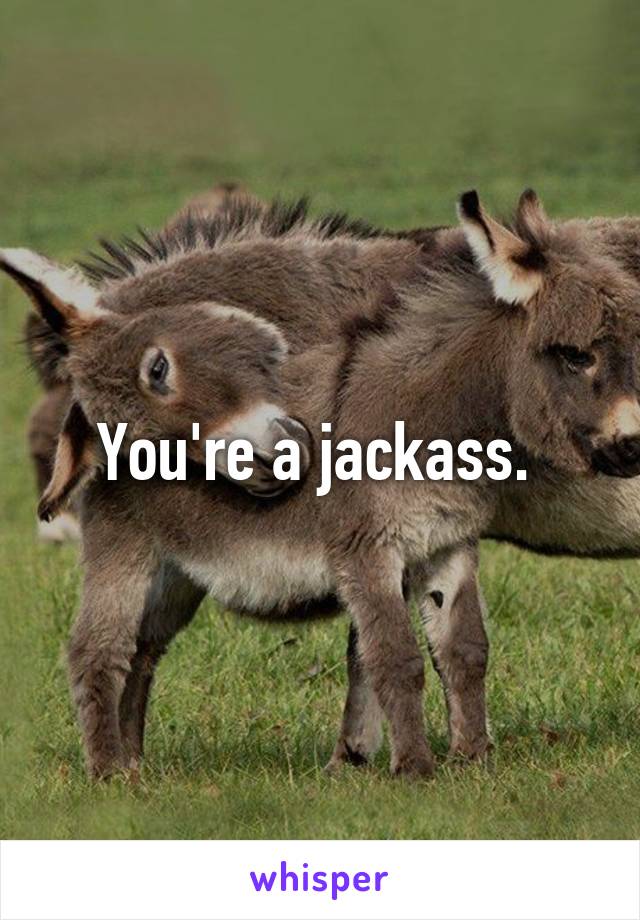 You're a jackass. 