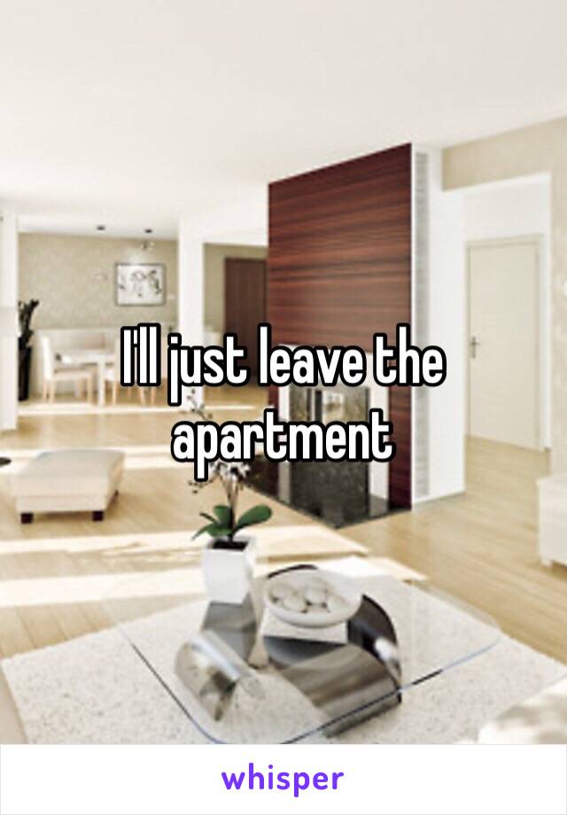 I'll just leave the apartment 