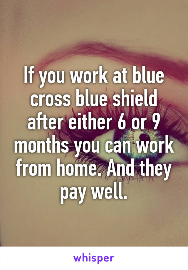 If you work at blue cross blue shield after either 6 or 9 months you can work from home. And they pay well.