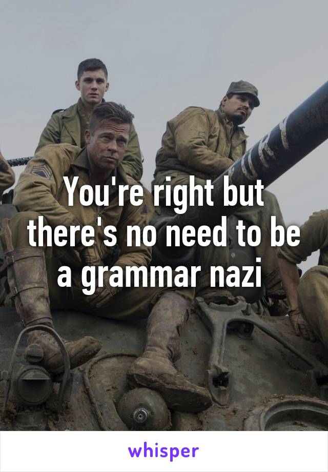 You're right but there's no need to be a grammar nazi 