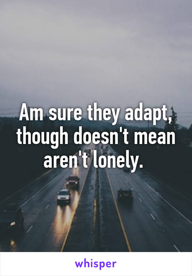 Am sure they adapt, though doesn't mean aren't lonely. 