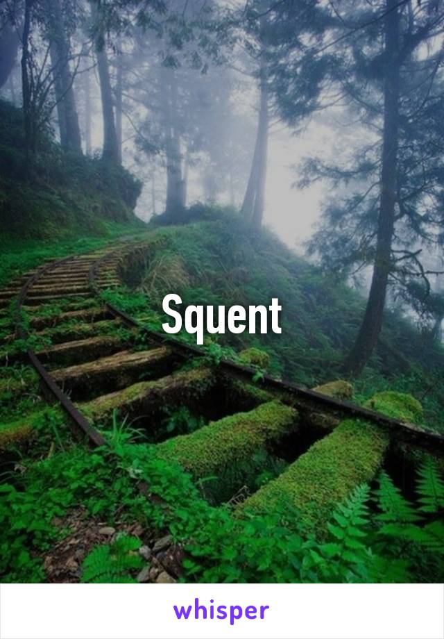 Squent