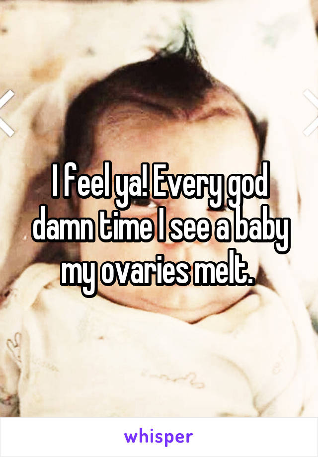 I feel ya! Every god damn time I see a baby my ovaries melt. 