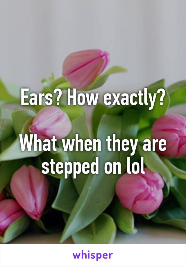 Ears? How exactly?

What when they are stepped on lol