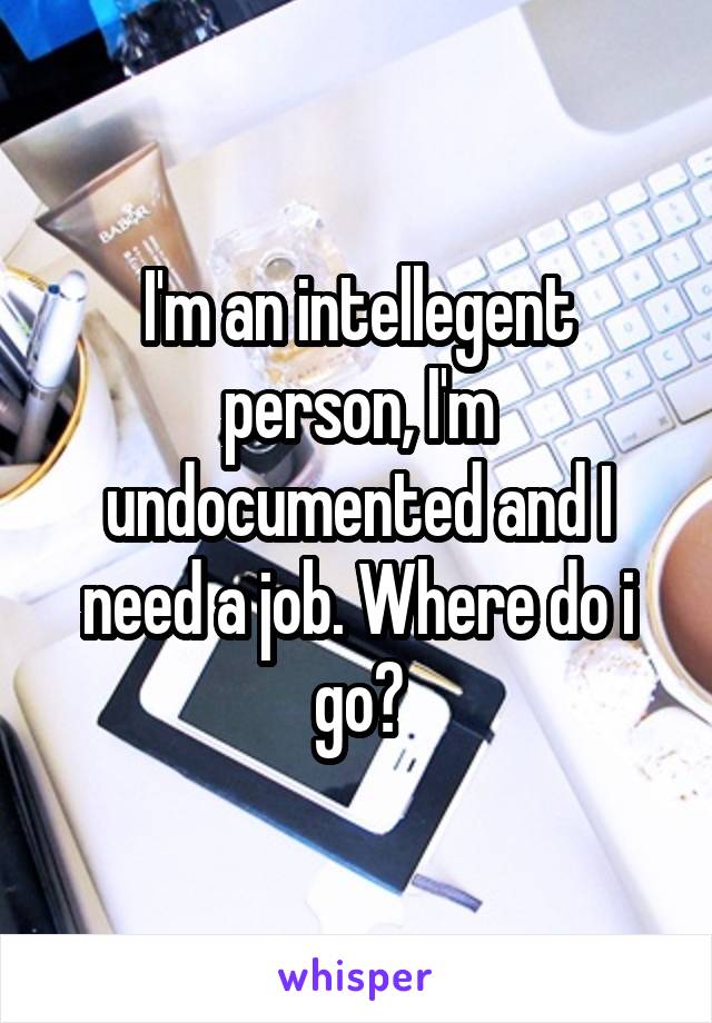 I'm an intellegent person, I'm undocumented and I need a job. Where do i go?