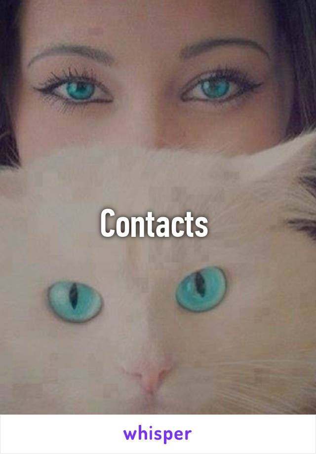 Contacts 