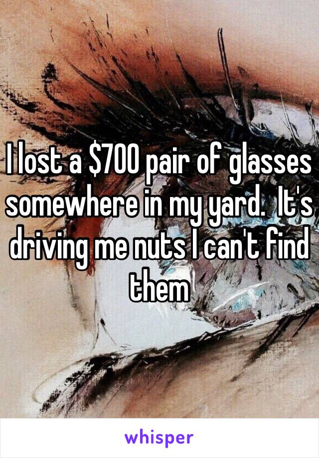 I lost a $700 pair of glasses somewhere in my yard.  It's driving me nuts I can't find them