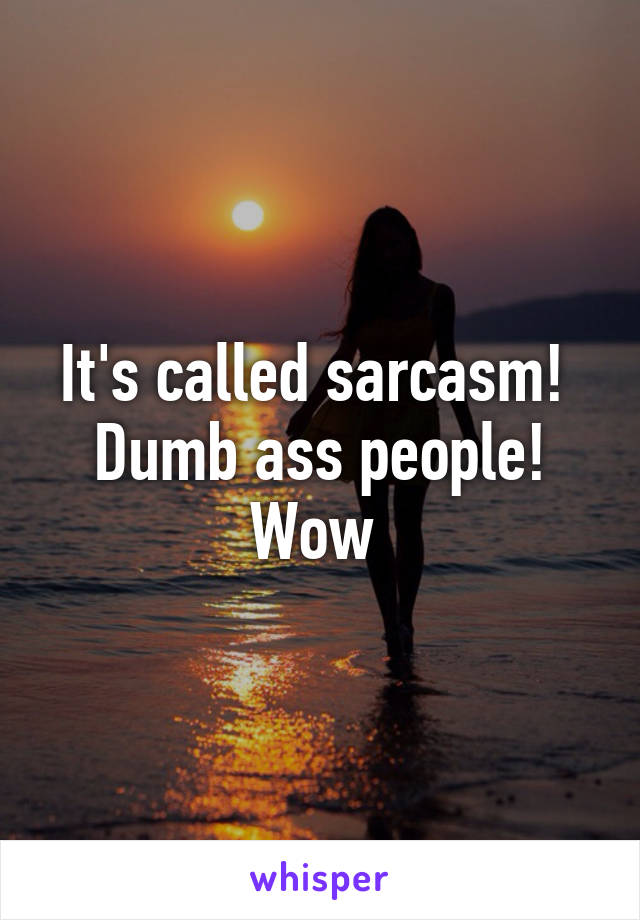 It's called sarcasm! 
Dumb ass people!
Wow 