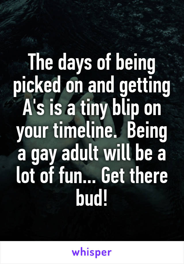 The days of being picked on and getting A's is a tiny blip on your timeline.  Being a gay adult will be a lot of fun... Get there bud!