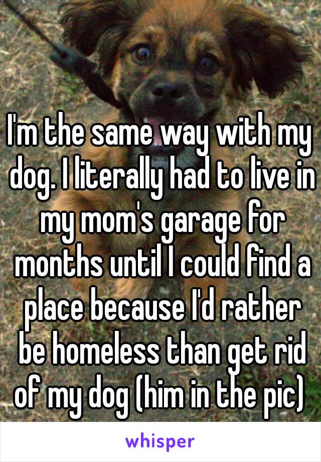 I'm the same way with my dog. I literally had to live in my mom's garage for months until I could find a place because I'd rather be homeless than get rid of my dog (him in the pic) 