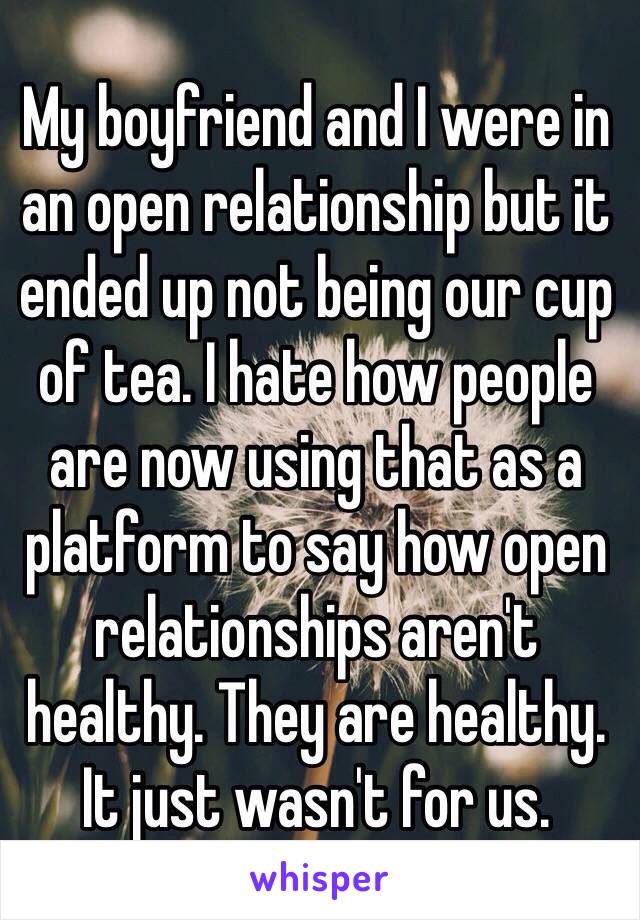 My boyfriend and I were in an open relationship but it ended up not being our cup of tea. I hate how people are now using that as a platform to say how open relationships aren't healthy. They are healthy. It just wasn't for us. 