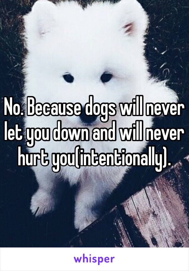 No. Because dogs will never let you down and will never hurt you(intentionally).