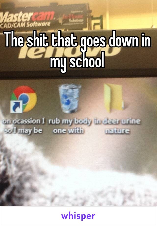 The shit that goes down in my school