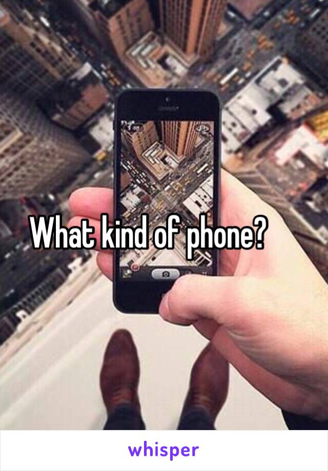 What kind of phone?