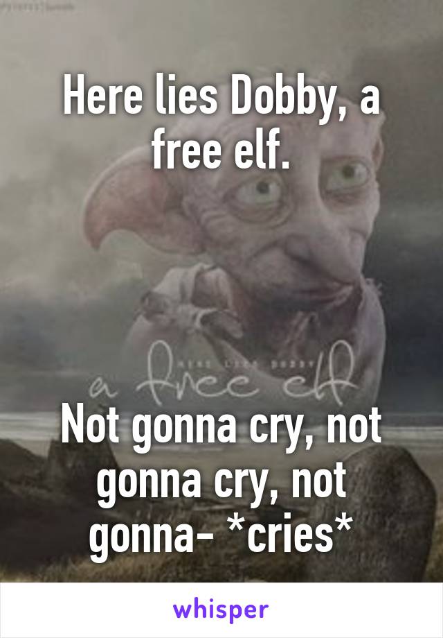 Here lies Dobby, a free elf.




Not gonna cry, not gonna cry, not gonna- *cries*