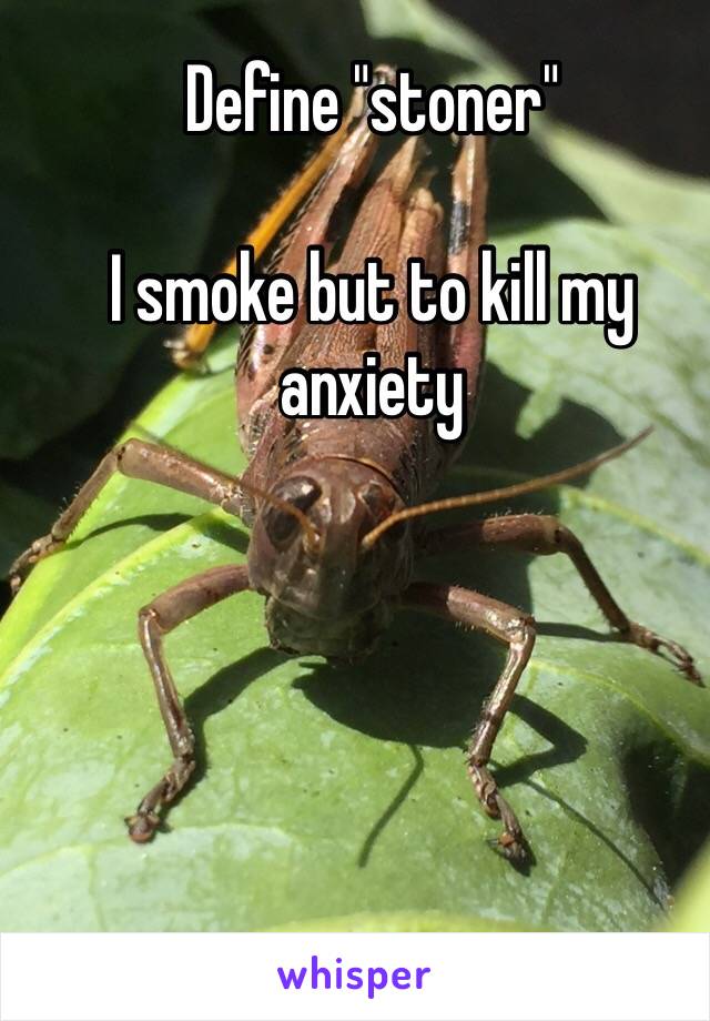 Define "stoner"

I smoke but to kill my anxiety