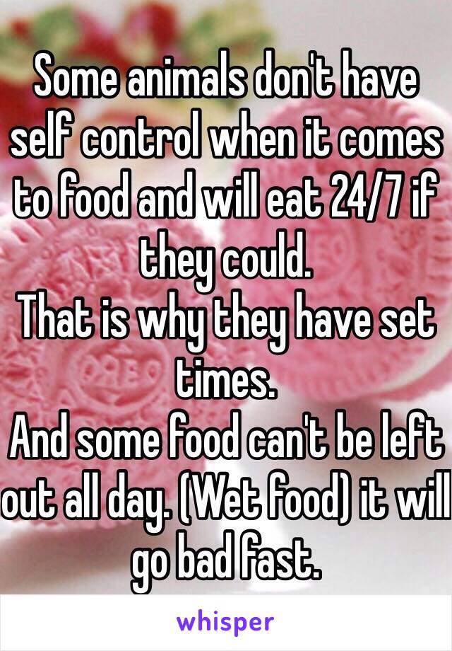Some animals don't have self control when it comes to food and will eat 24/7 if they could. 
That is why they have set times. 
And some food can't be left out all day. (Wet food) it will go bad fast. 