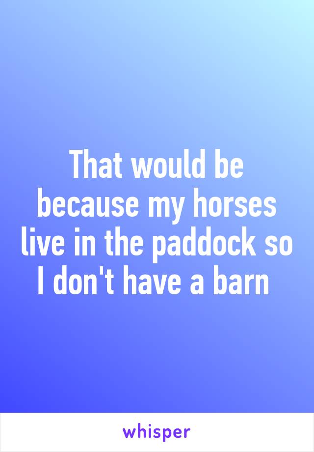 That would be because my horses live in the paddock so I don't have a barn 