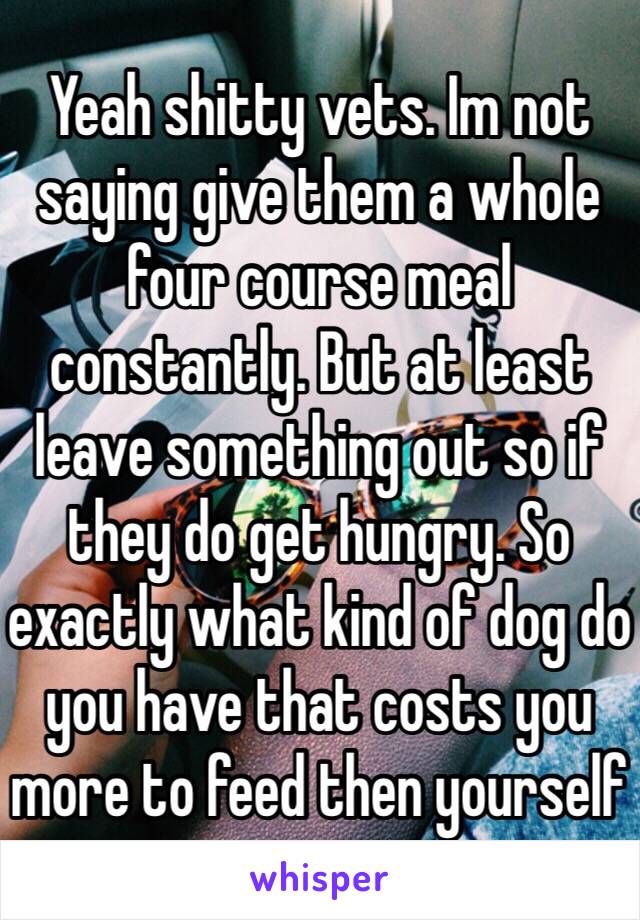 Yeah shitty vets. Im not saying give them a whole four course meal constantly. But at least leave something out so if they do get hungry. So exactly what kind of dog do you have that costs you more to feed then yourself 