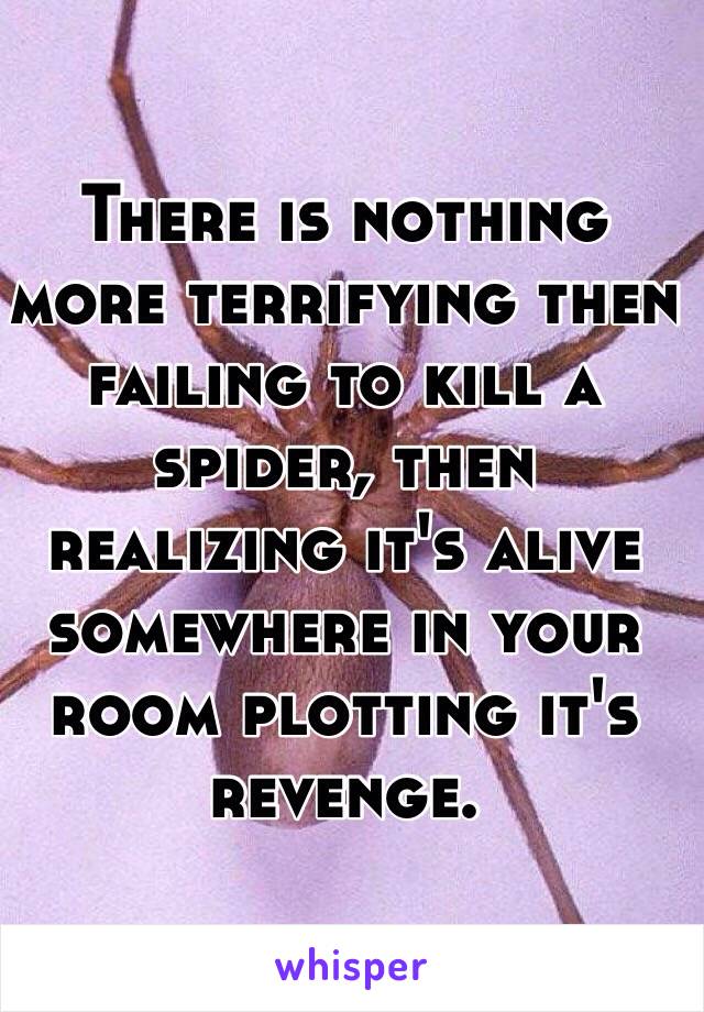 There is nothing more terrifying then failing to kill a spider, then realizing it's alive somewhere in your room plotting it's revenge.