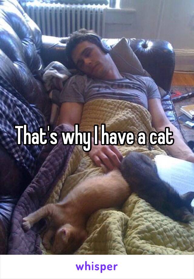 That's why I have a cat