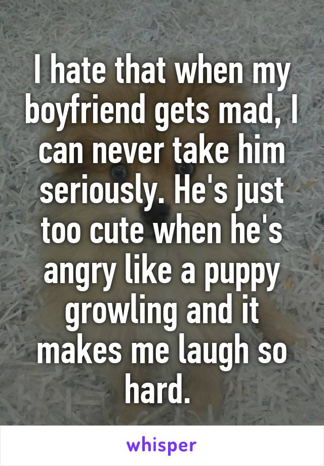 I hate that when my boyfriend gets mad, I can never take him seriously. He's just too cute when he's angry like a puppy growling and it makes me laugh so hard. 