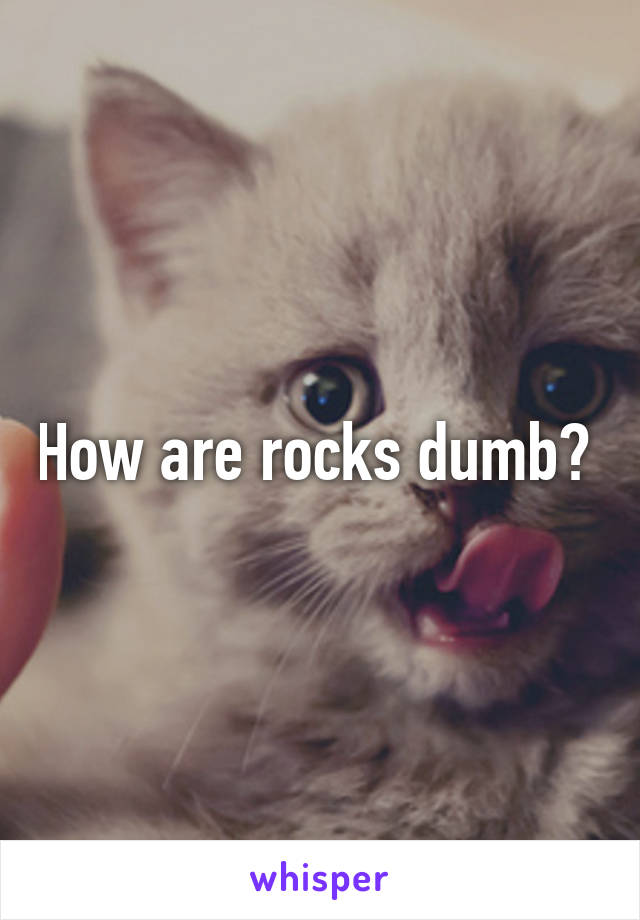 How are rocks dumb? 