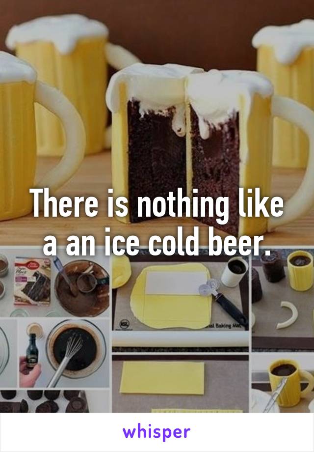 There is nothing like a an ice cold beer.