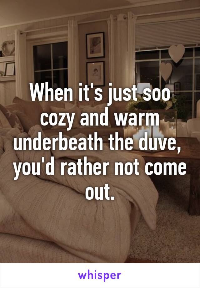 When it's just soo cozy and warm underbeath the duve,  you'd rather not come out.