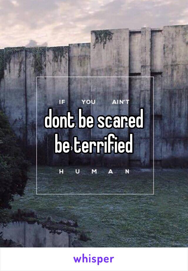 dont be scared
be terrified 