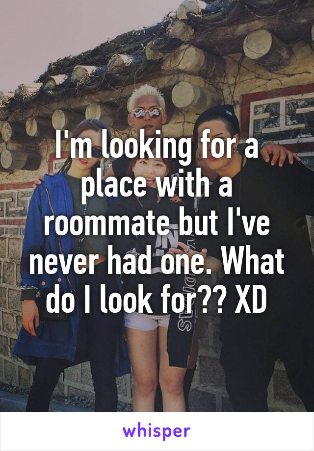 I'm looking for a place with a roommate but I've never had one. What do I look for?? XD