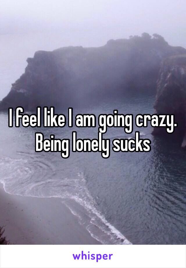 I feel like I am going crazy.
Being lonely sucks 