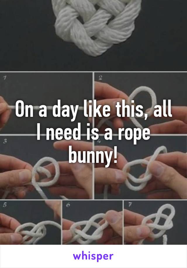 On a day like this, all I need is a rope bunny!