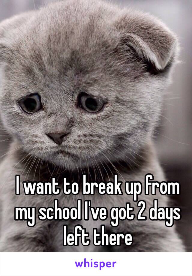 I want to break up from my school I've got 2 days left there 