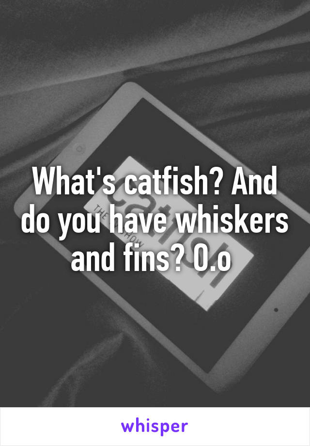 What's catfish? And do you have whiskers and fins? O.o 