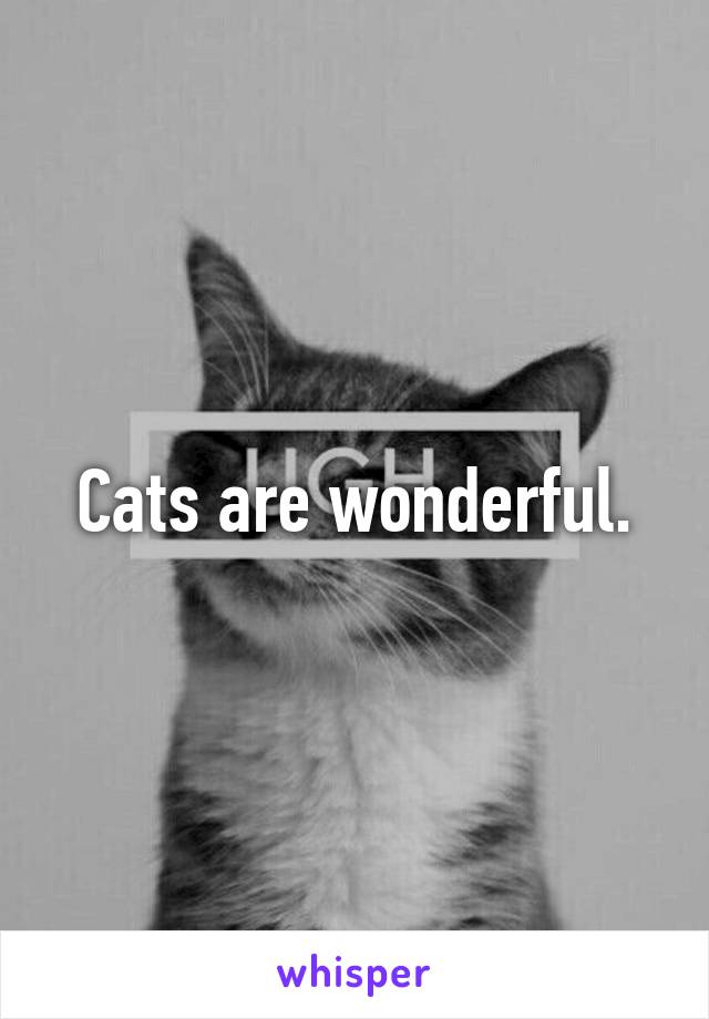 Cats are wonderful.