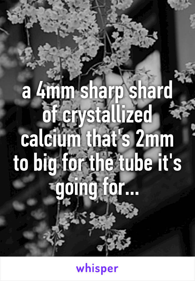a 4mm sharp shard of crystallized calcium that's 2mm to big for the tube it's going for...