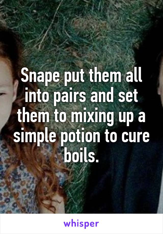 Snape put them all into pairs and set them to mixing up a simple potion to cure boils.