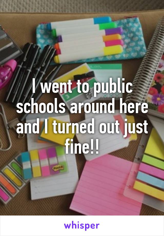 I went to public schools around here and I turned out just fine!!