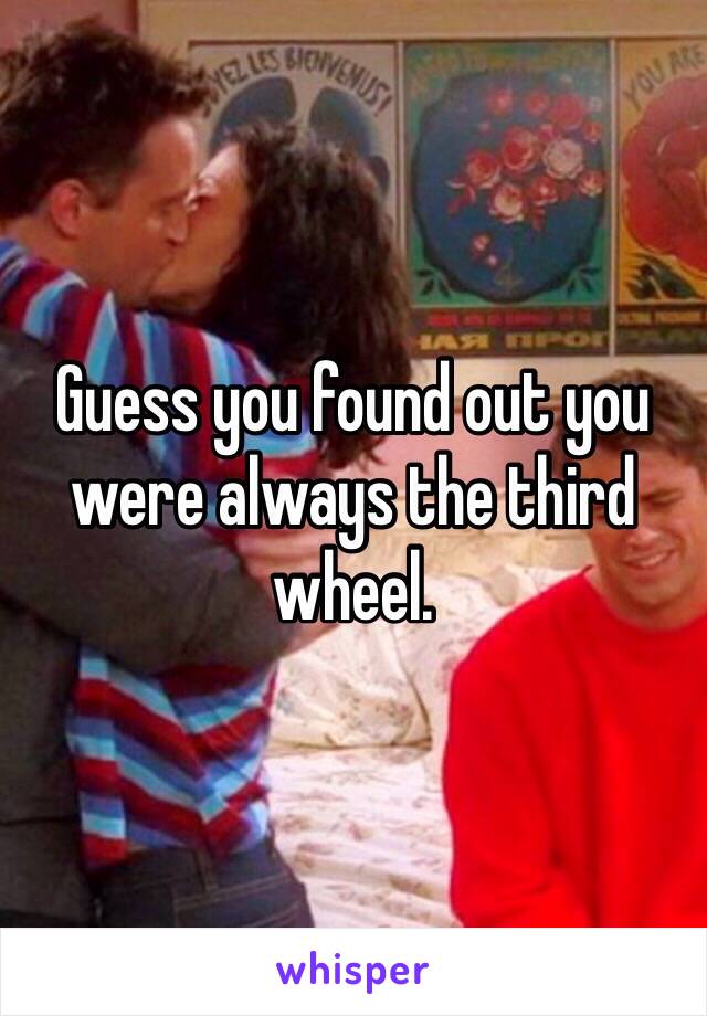 Guess you found out you were always the third wheel.