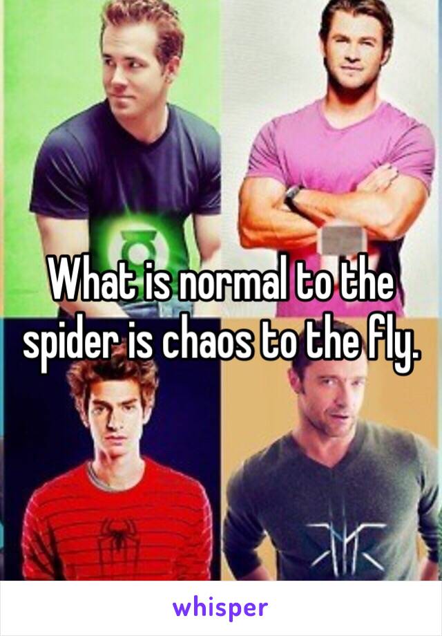 What is normal to the spider is chaos to the fly. 